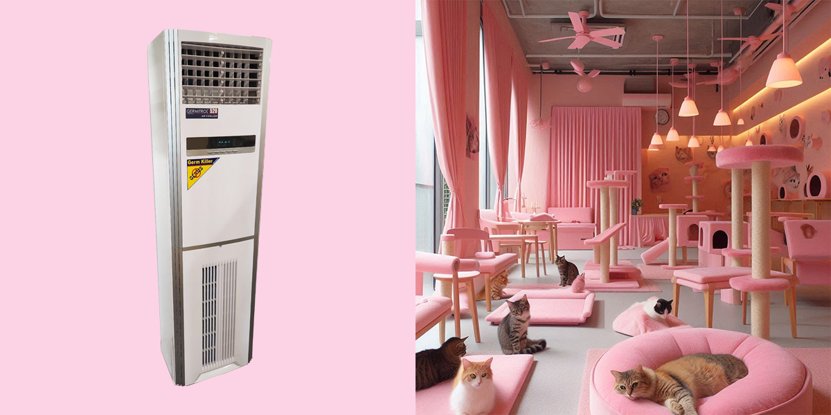 How Germitrol UV Air Purifiers Saved A Cat Hotel From Eviction And Transformed The Air Quality