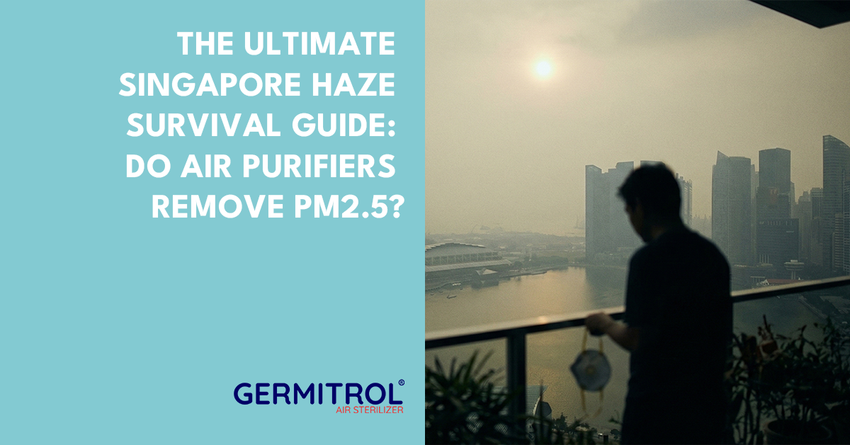 The Ultimate Singapore Haze Survival Guide: Do Air Purifiers Remove PM2.5?